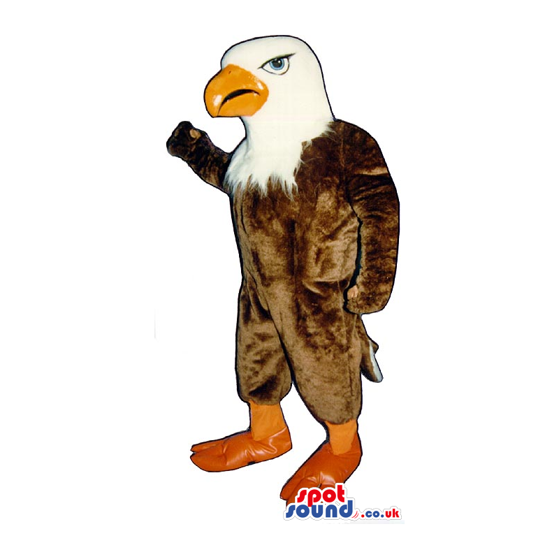 Brown And White American Eagle Mascot With An Orange Beak -