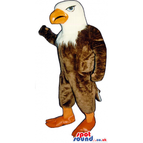Brown And White American Eagle Mascot With An Orange Beak -