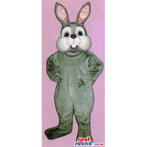Grey Rabbit Animal Plush Mascot With A White Face And Pink Ears
