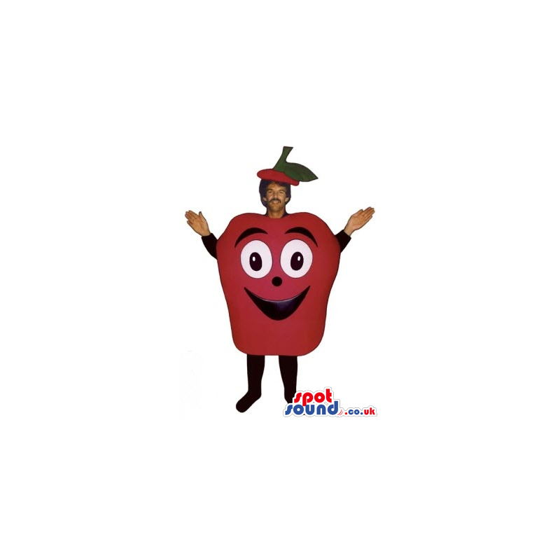 Red Apple Fruit Mascot Or Disguise With Happy Face - Custom