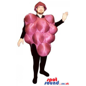 Funny Big Red Grape Cluster Mascot Or Adult Costume - Custom