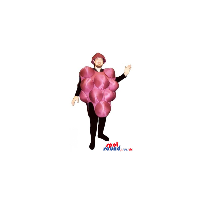 Funny Big Red Grape Cluster Mascot Or Adult Costume - Custom