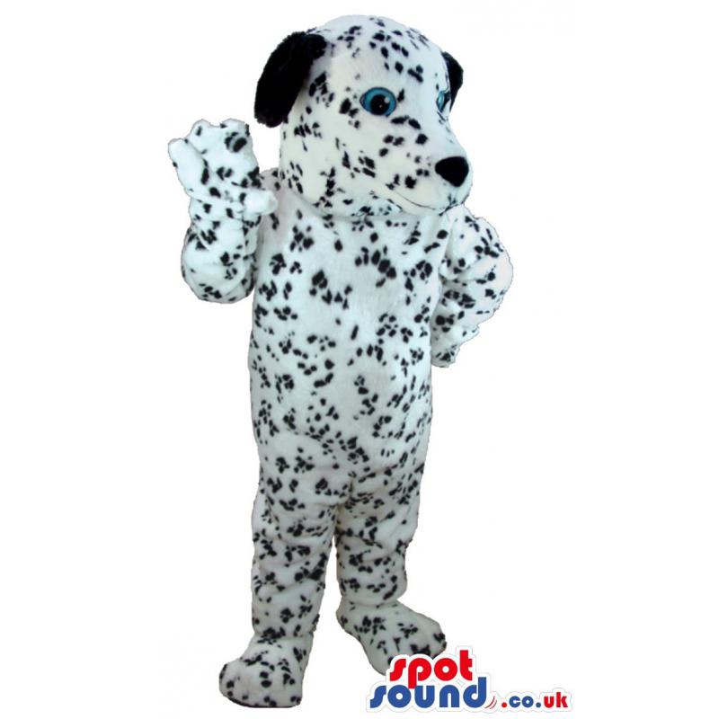 Dalmatian dog mascot with black & white dots with tongue out -