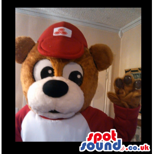 Brown And White Big Bear Mascot Plush Head With Red Cap -