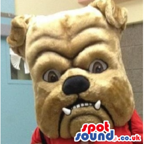 Brown Angry Bulldog Mascot Plush Head - Custom Mascots