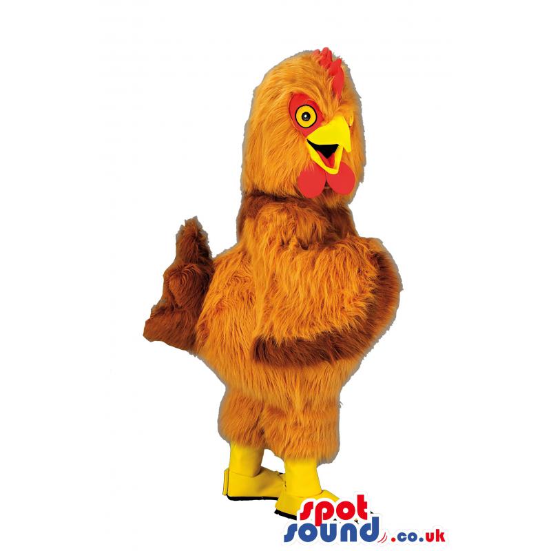 Cock mascot in a furry outfit with red comb and with yellow