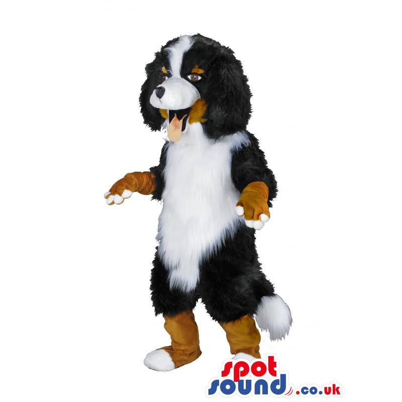 Puppy mascot in black, white and brown with it's tongue out -