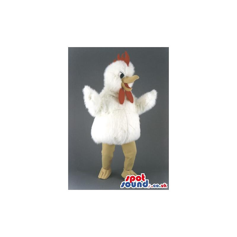 White chicken mascot in cute smile and with spreader wings -