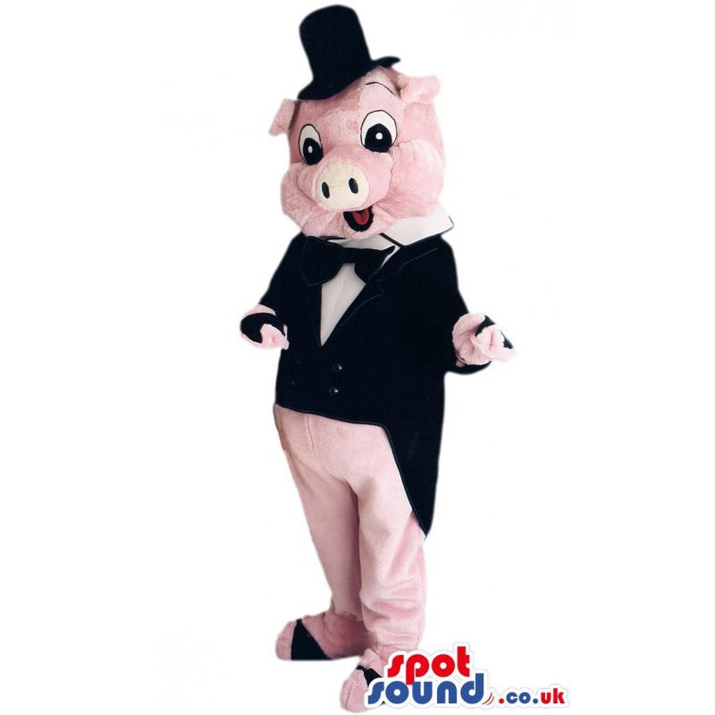 Pink piggy groom mascot with his tail coat ready for the