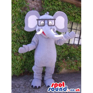 Funny Grey Elephant Mascot Wearing A Pair Of Squared Glasses -