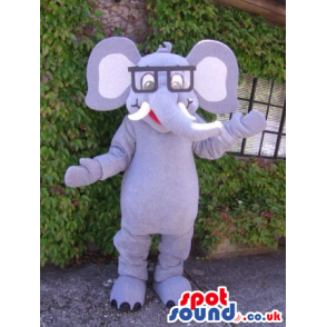 Funny Grey Elephant Mascot Wearing A Pair Of Squared Glasses -