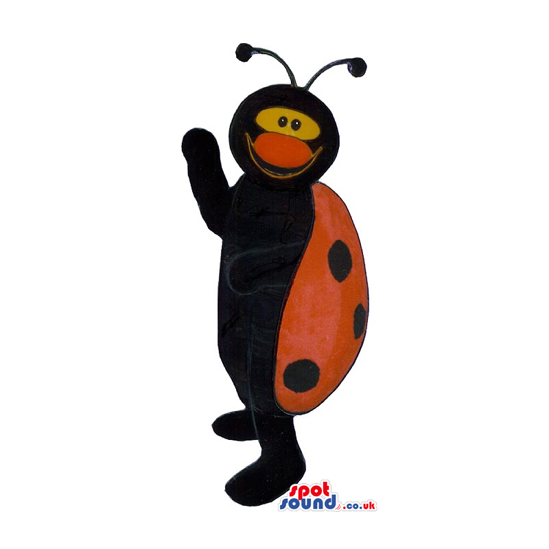 Ladybird Mascot With A Big Red Nose And Funny Face - Custom