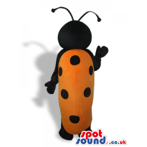 Ladybird Mascot With A Big Red Nose And Funny Face - Custom