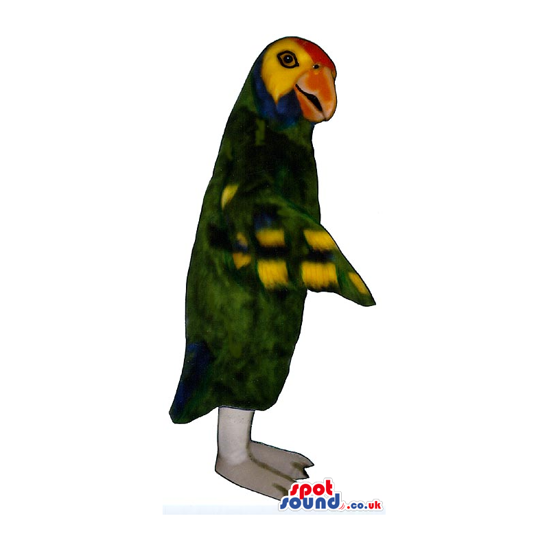 Exotic Parrot Mascot With Colorful Wings And Open Beak - Custom