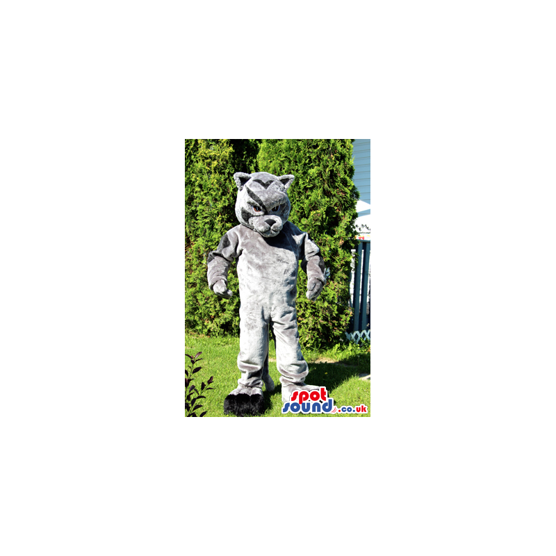 Wildcat Mascot In Grey With Black Stripes On Its Face - Custom