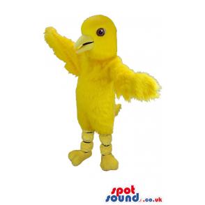 Yellow chicken mascot in cute smile and with his wings spreader