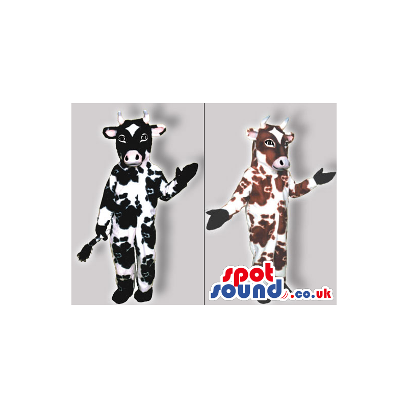 Two Original Cow Costumes Or Mascots In Brown Or Black Spots -