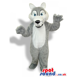 Grey Wolf Plush Mascot With A White Belly And Sharp Teeth -