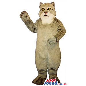 All Grey Cat Plush Mascot With A White Face And Yellow Eyes -