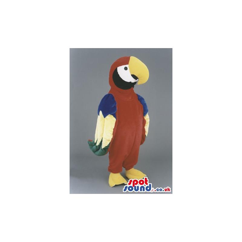 Colourful parrot mascot with yellow curved beak and beautiful