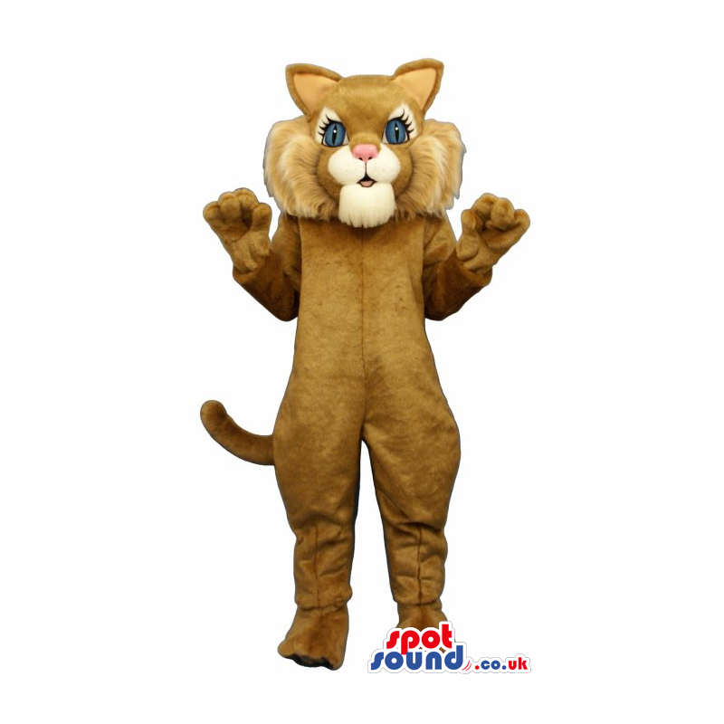 Cute Brown Cat Mascot With A White Face And Blue Eyes - Custom