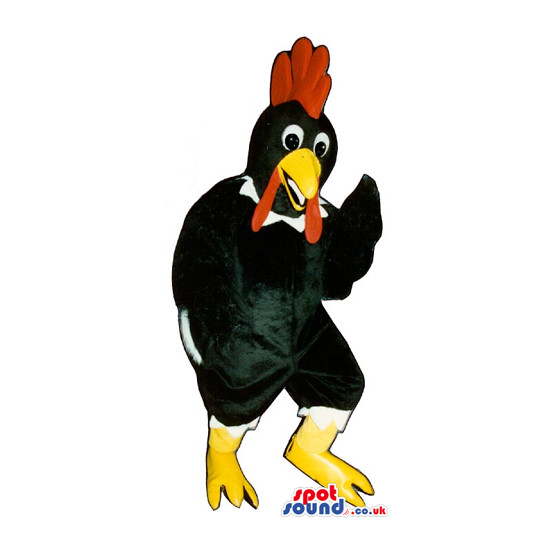 Black Hen Mascot With A White Collar And A Red Comb And Wattle
