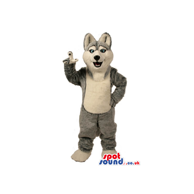 Grey Wolf Animal Plush Mascot With A White Belly And Blue Eyes
