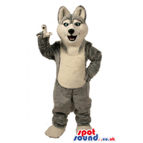Grey Wolf Animal Plush Mascot With A White Belly And Blue Eyes