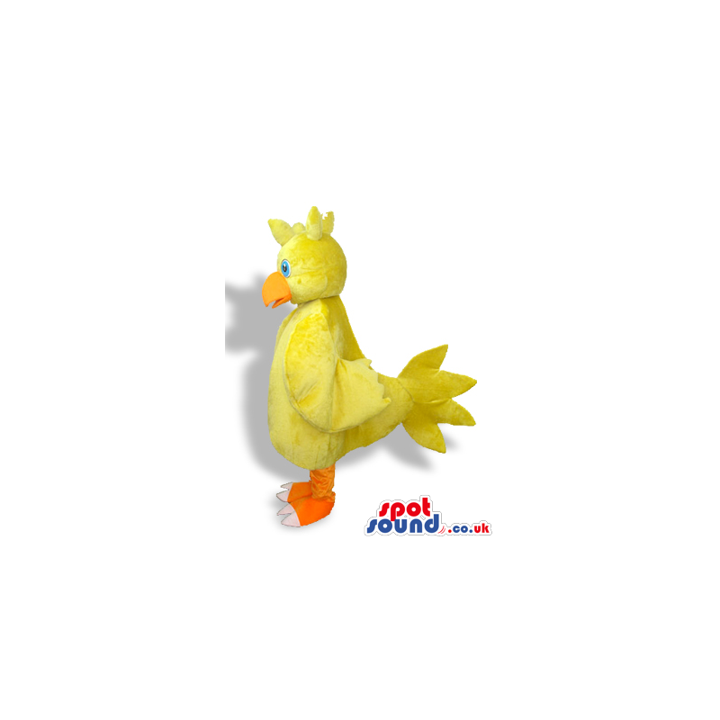 Cute Yellow Chicken Character Bird Plush Mascot With Blue Eyes