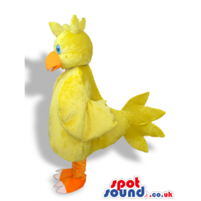 Cute Yellow Chicken Character Bird Plush Mascot With Blue Eyes