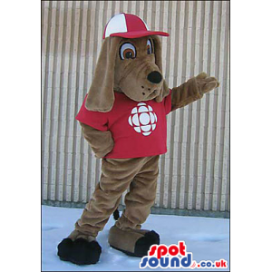 Brown Dog Wearing A Red Cap And T-Shirt With A Logo - Custom