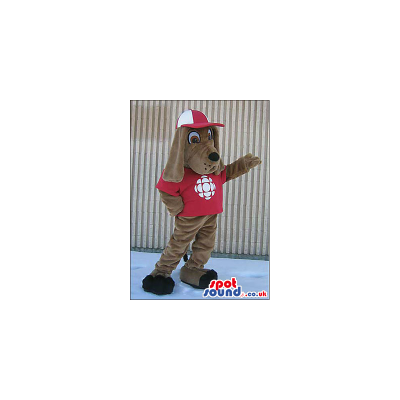 Brown Dog Wearing A Red Cap And T-Shirt With A Logo - Custom