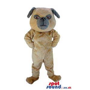 Cute brown puppy mascot standing with a naughty look