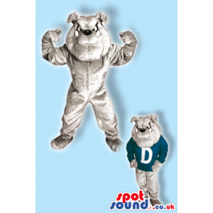 Grey Bulldog Mascot That Can Wear A Shirt With A Letter -