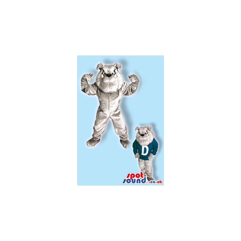 Grey Bulldog Mascot That Can Wear A Shirt With A Letter -