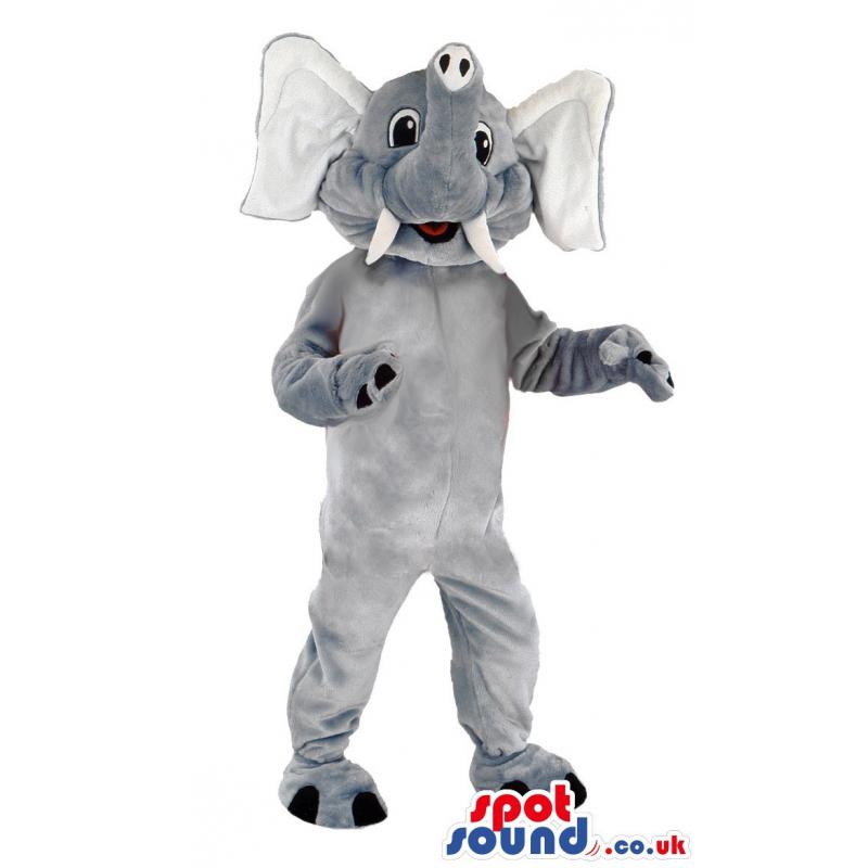 Elephant mascot with a tusk standing and smiling at you -