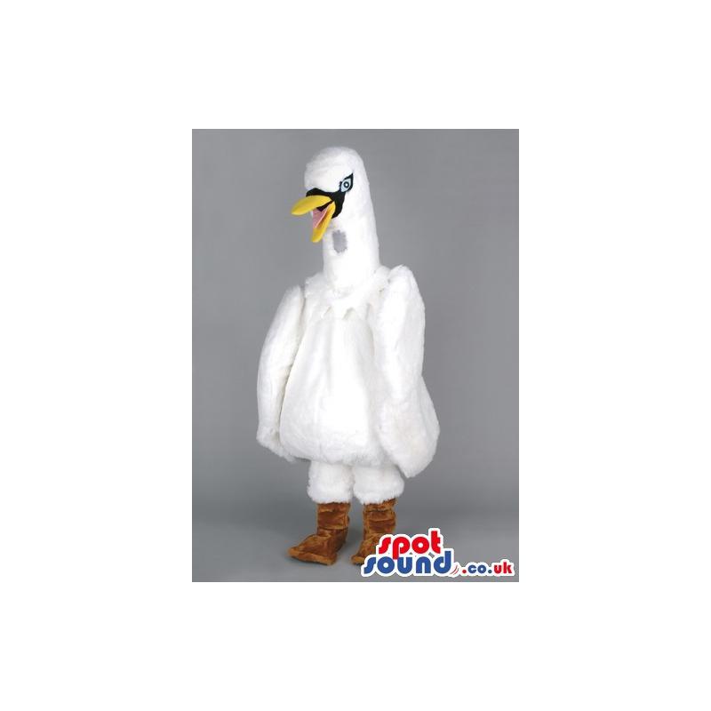 White Adult duck with a yellow bill and brown webbed feet -
