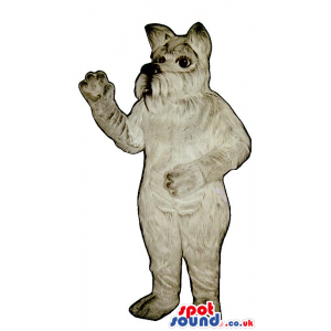 All Grey Schnauzer Dog Plush Mascot With Hairy Mouth - Custom