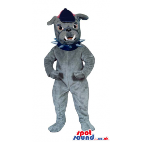 Angry Grey Bulldog Mascot Wearing A Cap And A Studded Collar -