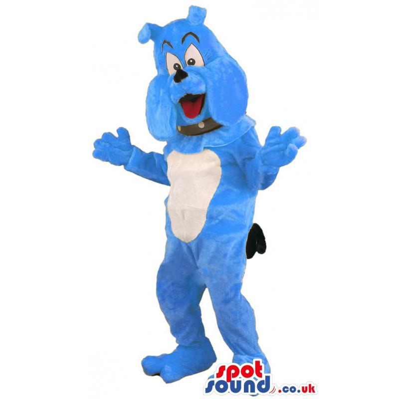 Blue bull dog mascot with belt around his neck & looking happy