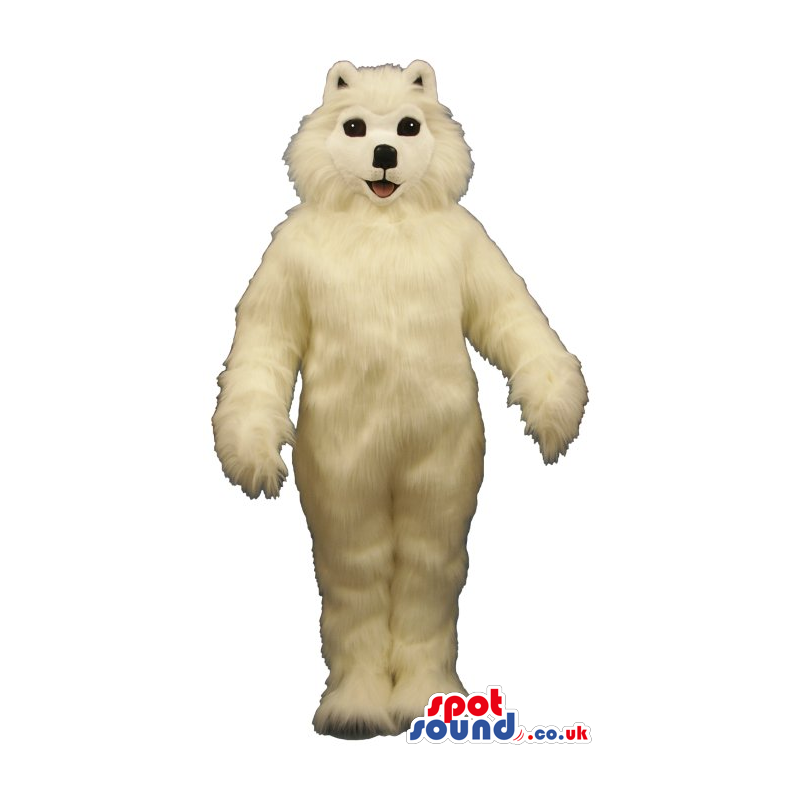 Adorable And Soft White Dog Pet Plush Mascot With Black Eyes -