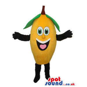 Funny Yellow Lemon Fruit Mascot With A Cute Face And Smile -