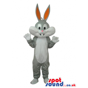 Popular Bugs Bunny Character Children'S Cartoon Mascot - Custom