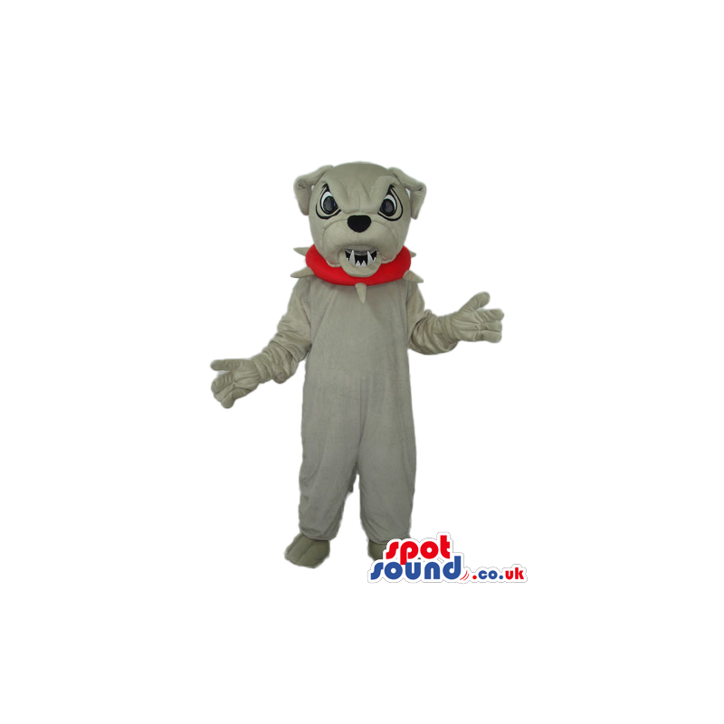 Angry Grey Bulldog Mascot Wearing A Red Studded Collar - Custom