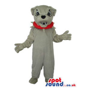 Angry Grey Bulldog Mascot Wearing A Red Studded Collar - Custom