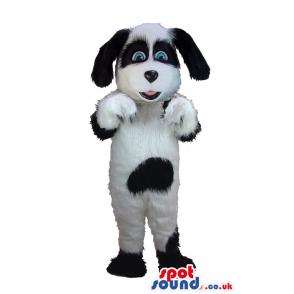 Black and white puppy mascot with blue eyes and filled with fur