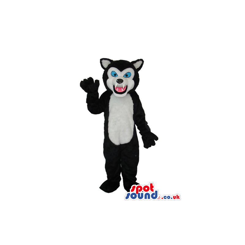 Black Wolf Plush Mascot With A White Belly And Blue Eyes -