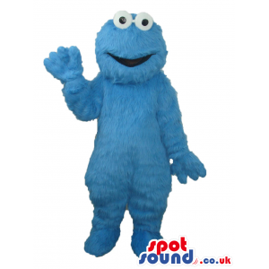 Popular Sesame Street Cookie Monster Character Mascot - Custom
