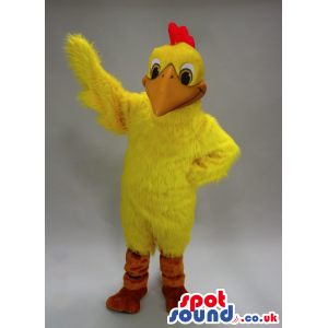 Funny All Yellow Hen Chicken Plush Mascot With A Red Comb -