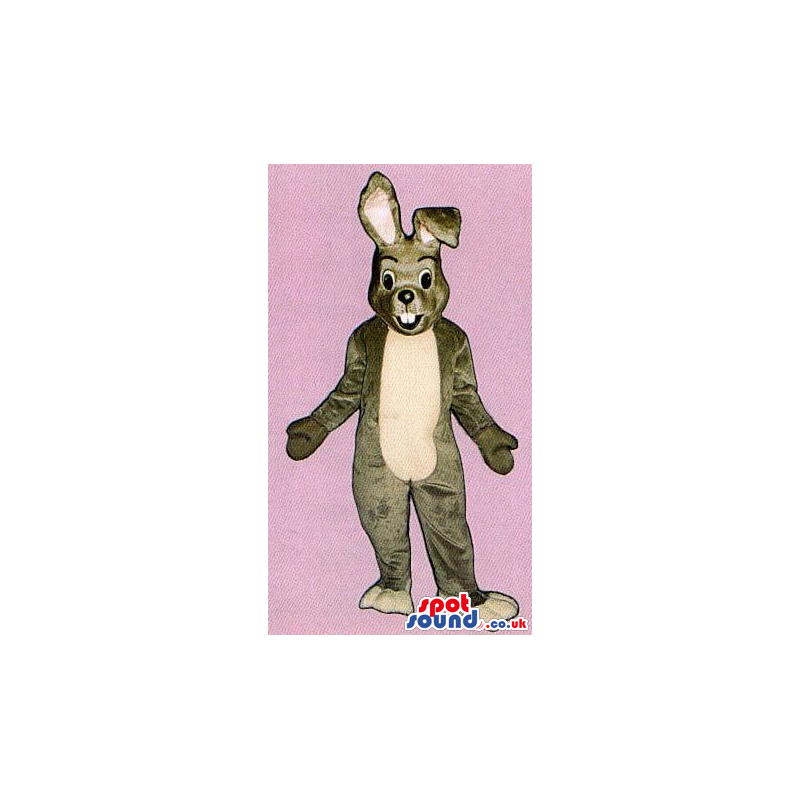 Grey Bunny Plush Mascot With A White Long Belly And Teeth -